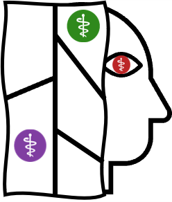 DicomTree Logo